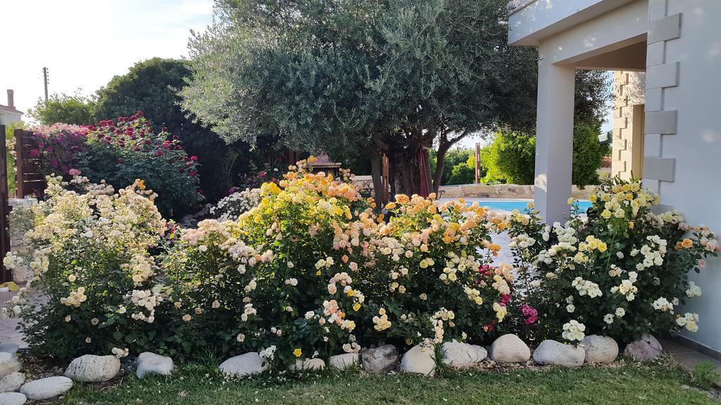 Jaime Villa Cyprus Argaka Exteriör bild