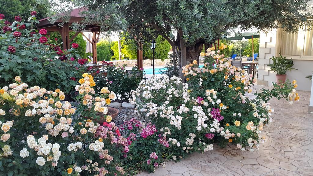 Jaime Villa Cyprus Argaka Exteriör bild